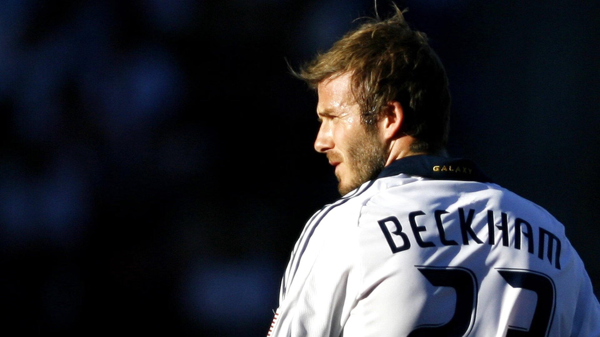 “智慧场馆+绿色基础”深度融合，行业基础设施不断完善升级，智慧场馆解决方案