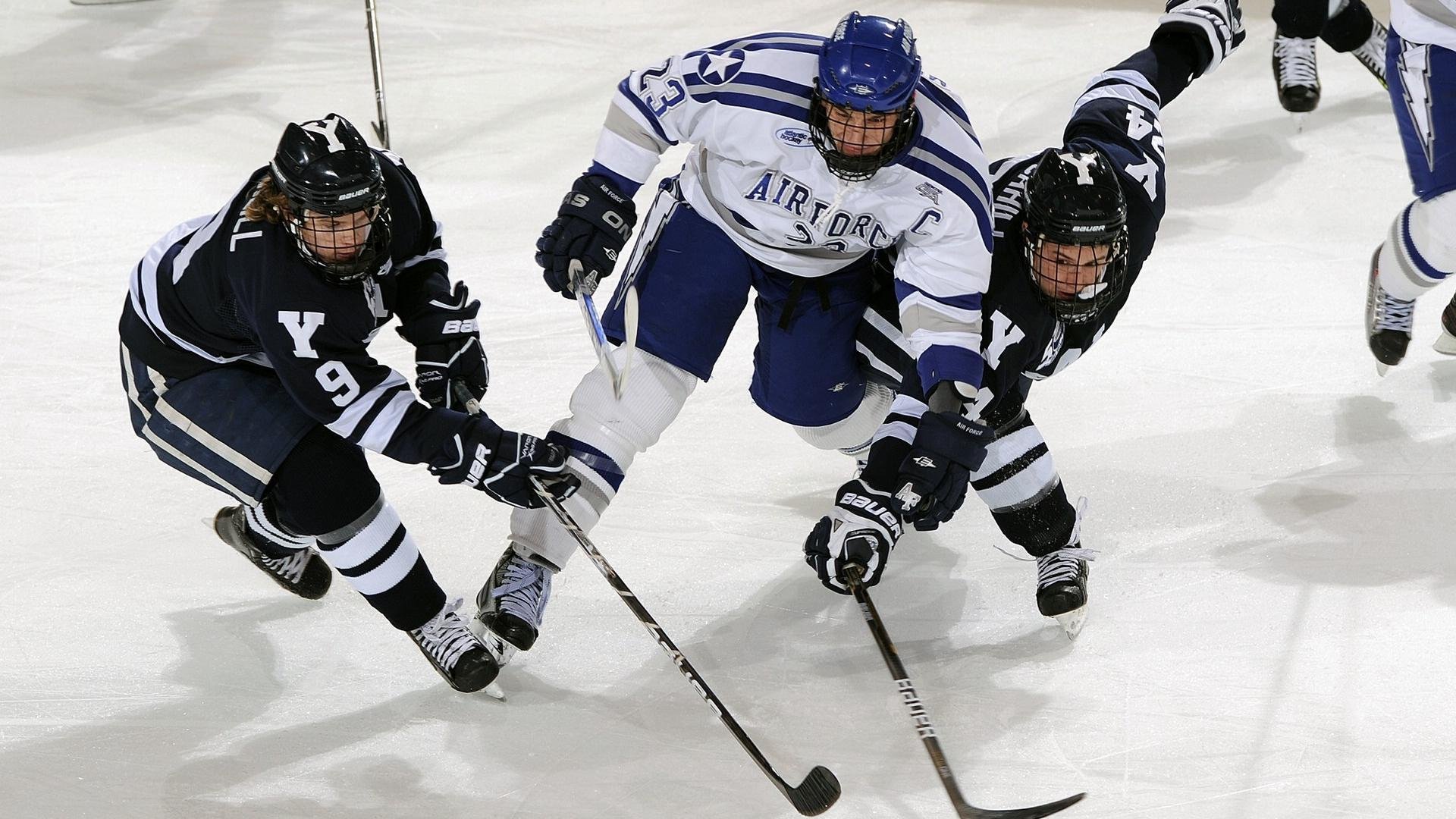 体育新闻中心球迷声音集锦，球迷轶事