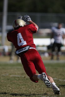 九游体育官方app-袋鼠队以全面防守为基础，确保进攻效率，袋鼠选手